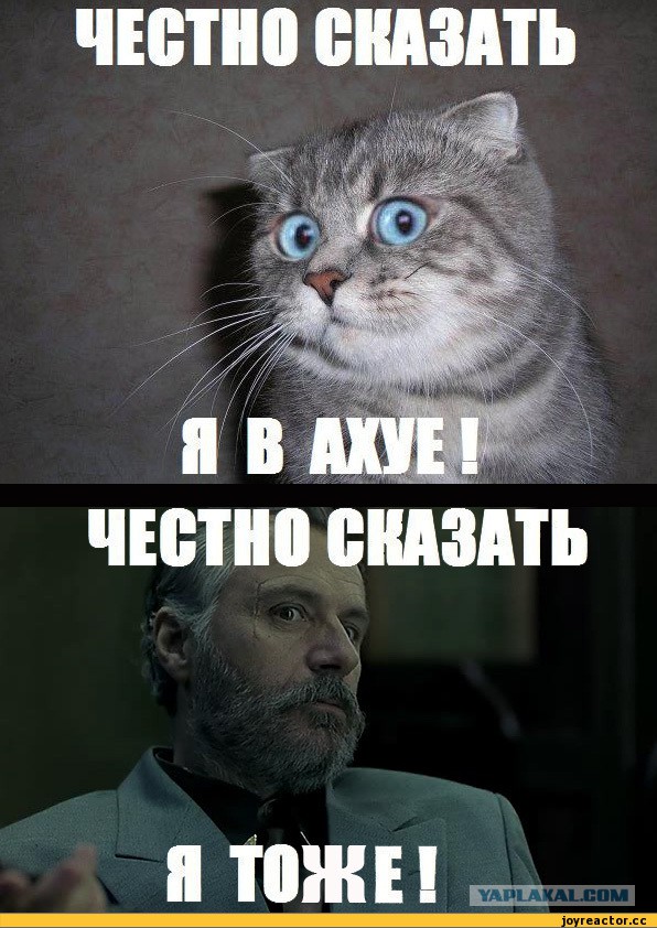 "Отпилите мне ногу": зачем россияне добровольно становятся инвалидами