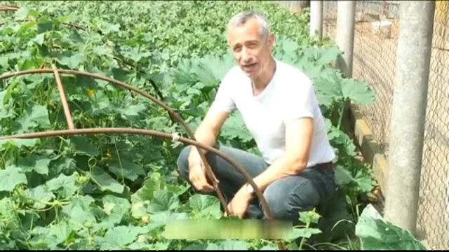 Роспотребнадзор: продажа всех лекарств должна быть по рецепту