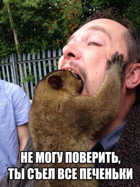 Худеющим и тем кто любит поесть посвящается ^^