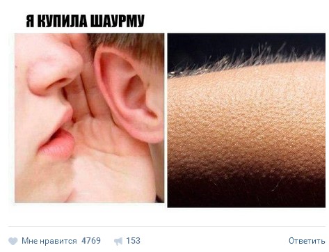 Ужасы и приколы из соцсетей 18+