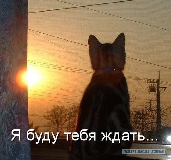 В России нашли портал в Нарнию!