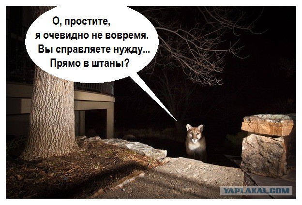 Приколы в стиле деградация