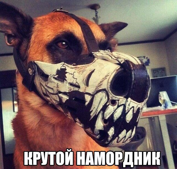 Соцсети - и смех и грех
