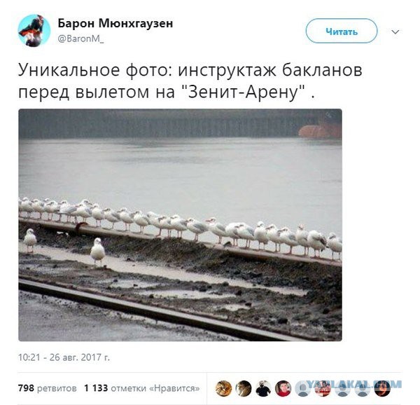 Картинки из этих, ваших, интернетов
