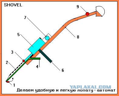 Медведев анонсировал создание в Петербурге аналога «Сколково». На него потратят 41 миллиард рублей