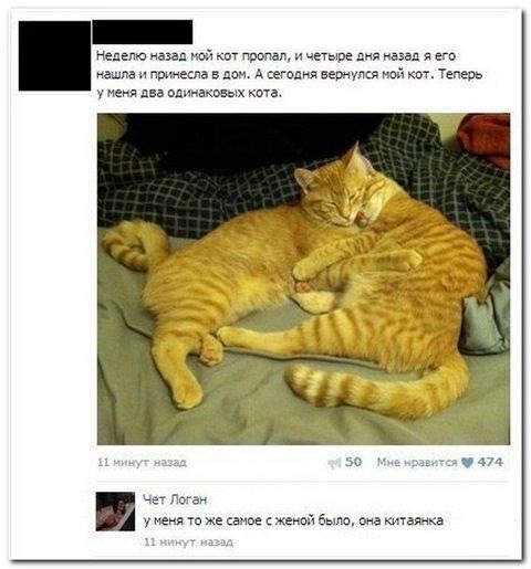 Приколы в стиле "регресс"