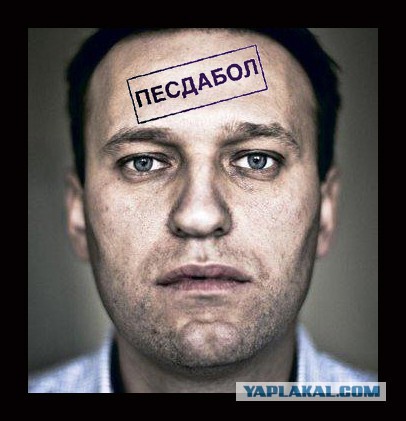 Навального выдвинули в президенты России