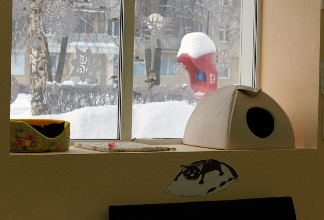 Котовторник 9.01.2018