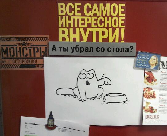 Котэ хочет есть
