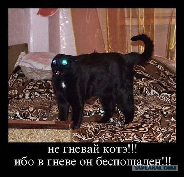 Последний бой.