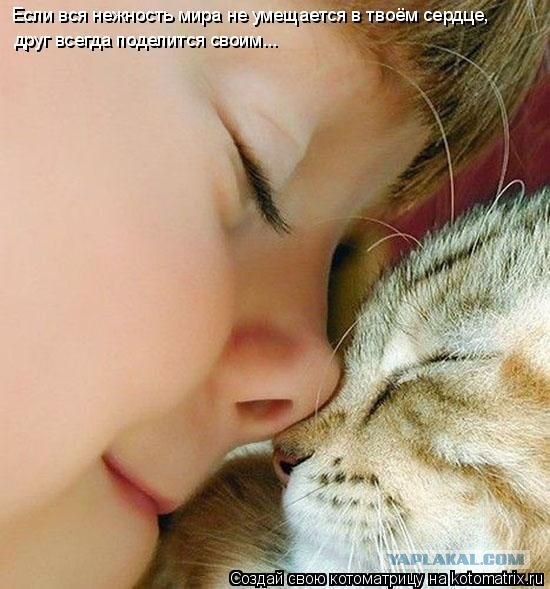 Лучшие друзья навсегда