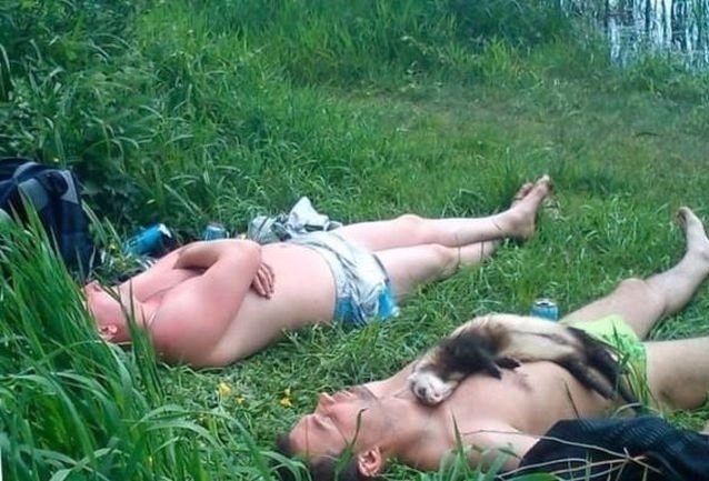 Чудики из социальных сетей