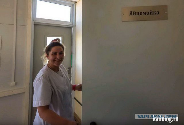 Подборка интересных и веселых картинок 06.05.19