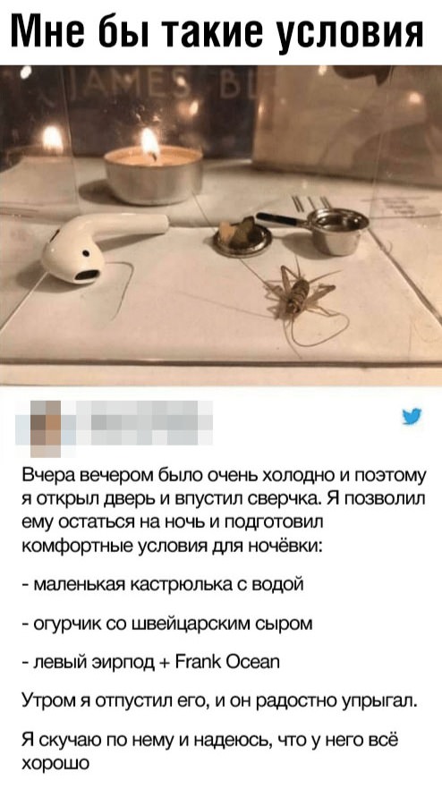 Картинки с надписями, истории и анекдоты