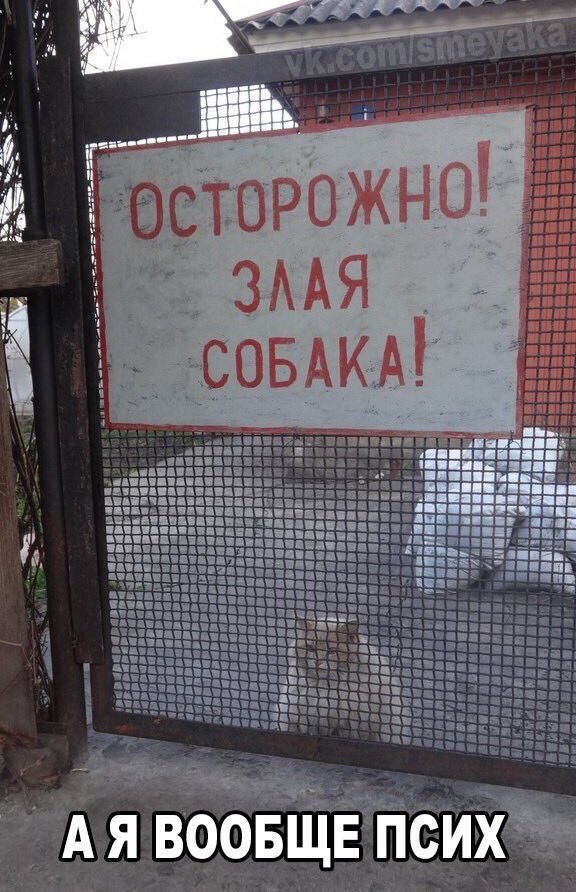 Правительство утвердило перечень потенциально опасных для человека собак