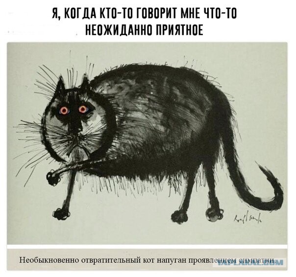 Чуток картинок! 22.12.19