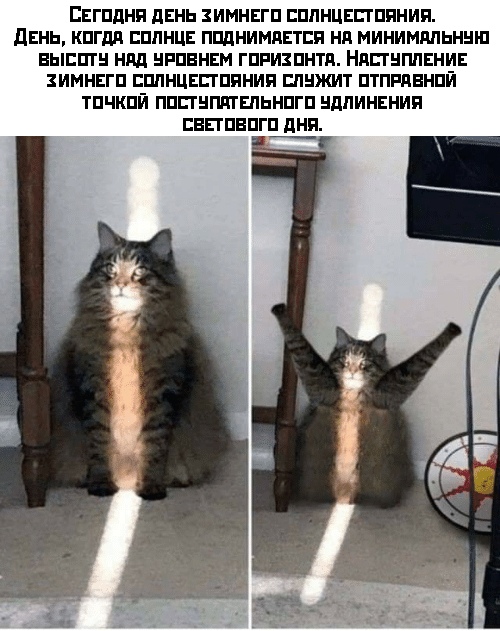 Картинки и мемы для настроения