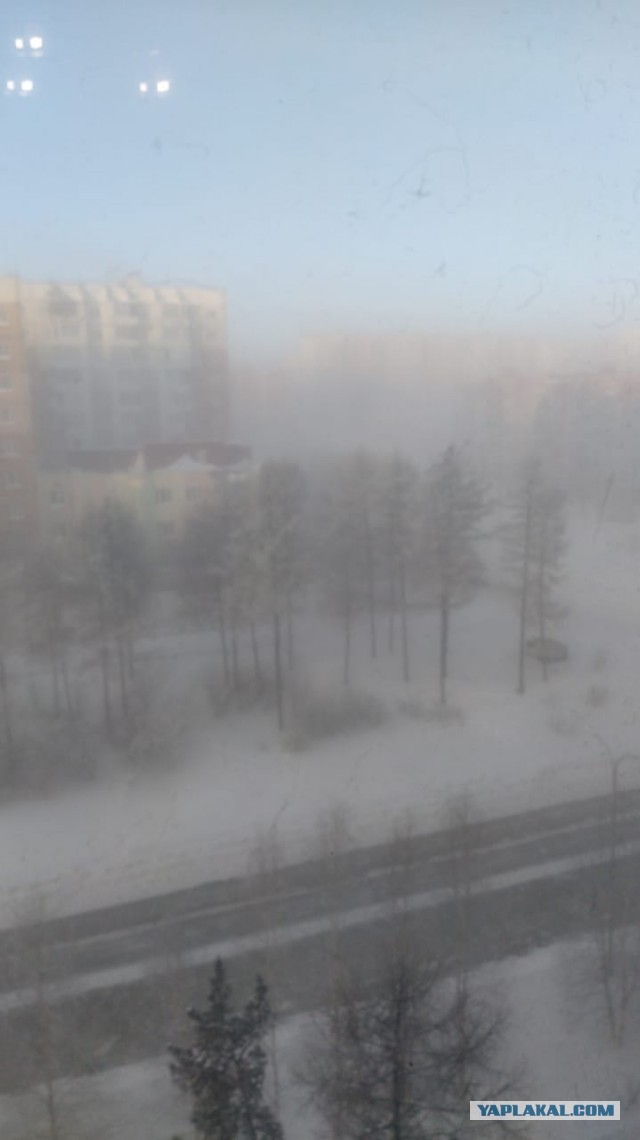 Здравствуй, *опа Новый год...