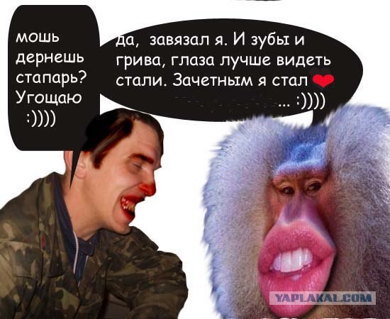 Отжабьте меня пожалуйста