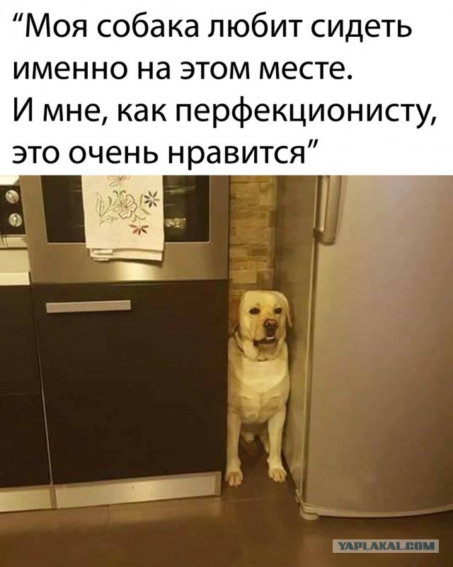 Так себе картинки 07.05.20