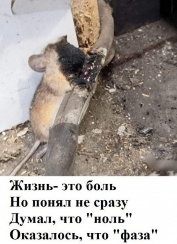 Учитесь, электрики