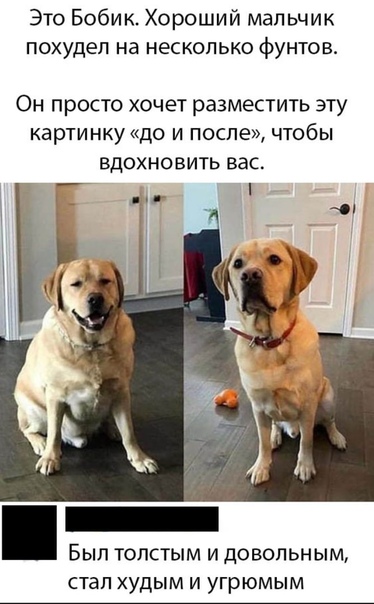 Юмор и прикольные картинки