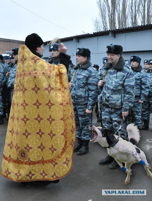 Во имя отца, сына....