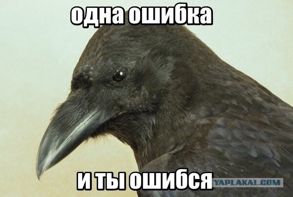 Обычная утренняя прогулка в Альпах