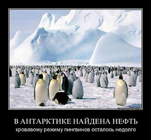Американец вернулся с войны.