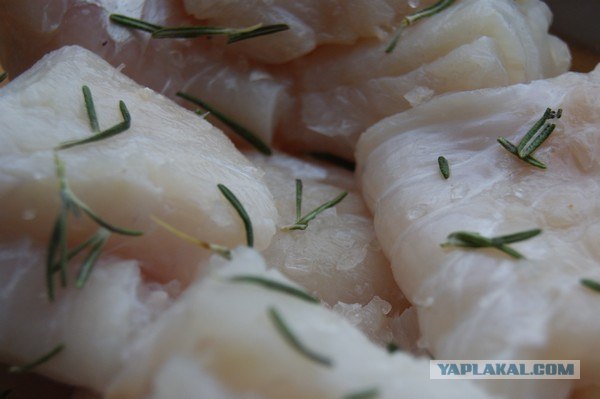 Все из рыбы!