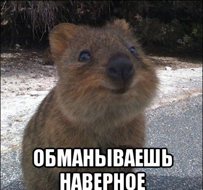 И так бывает