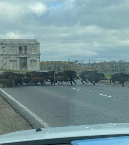 Началось...