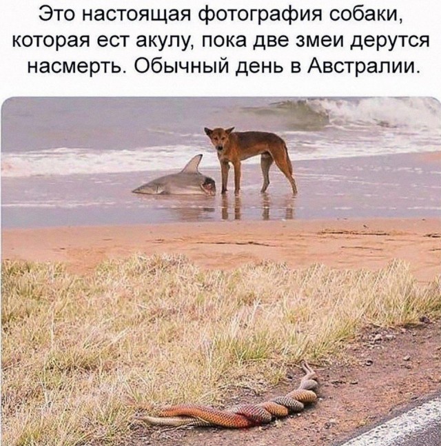 Так себе картинки 13.10.21