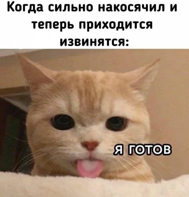 Картинки с лёгким сексуальным намеком