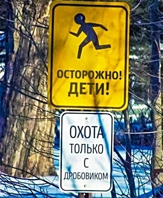 Так себе картинки 12.11.21