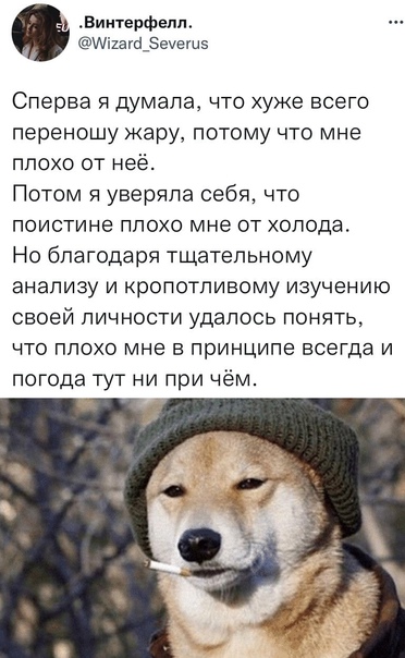 Картинки и мемы, всем прекрасных выходных