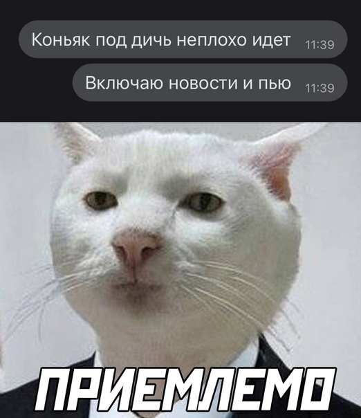 Картинки и мемы для настроения  - 27