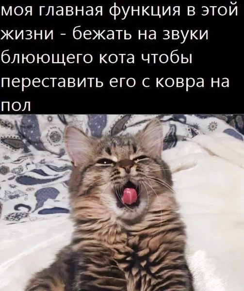 35 картинок разных 28.03.2022