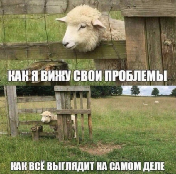 Картинки и мемы для настроения  - 31
