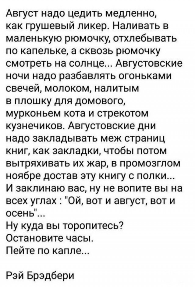 Вот и август на дворе