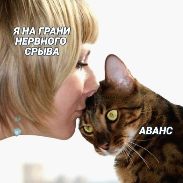 Картинки и мемы, всем хороших выходных