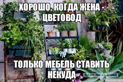 Лицемерные женщины