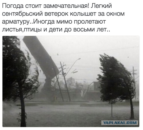 Легкий встречный бриз...