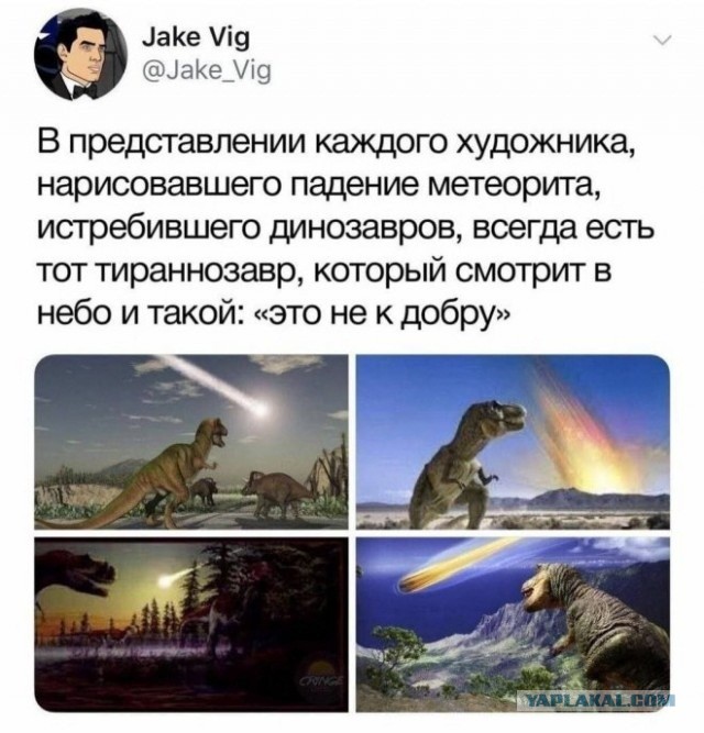 Немного картинок для настроения - 137