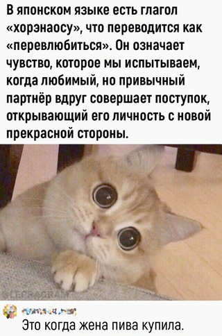 Немного картинок для настроения - 137