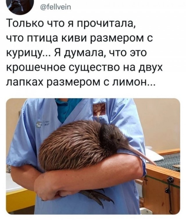 Картинки и мемы для настроения - 125