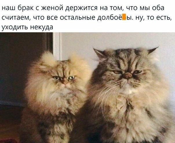 Победная поступь идиотизма по планете – том 6