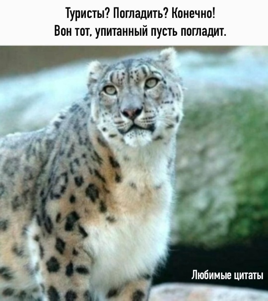 Всего понемногу. От 04.04.