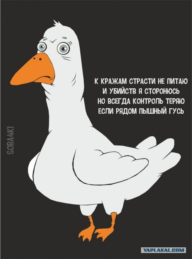 Все любят баню