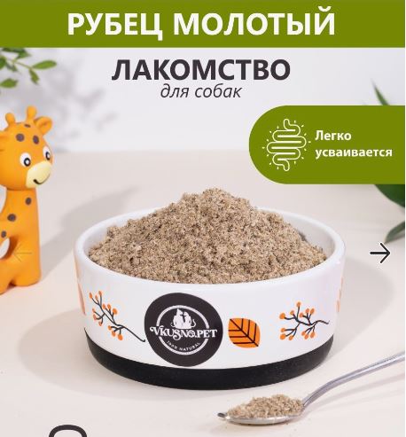Год назад. Доклад ООН про изменение климата: худшее впереди